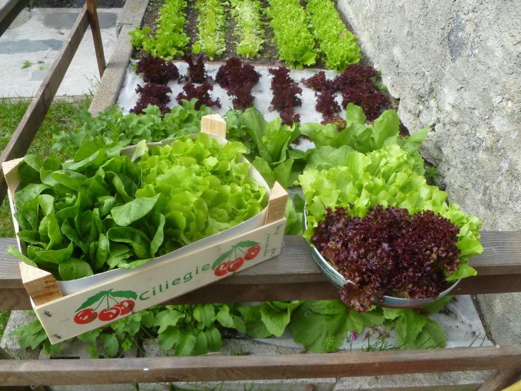 Appartamenti Via Monte Braulio 19 보르미오 외부 사진